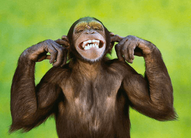 pensar david vazquez