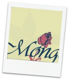 floristeria monge david vazquez