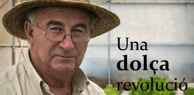 dulce revolución david vazquez