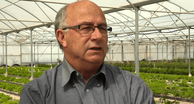 josep pamies david vazquez