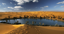 negocio de exito david vazquez